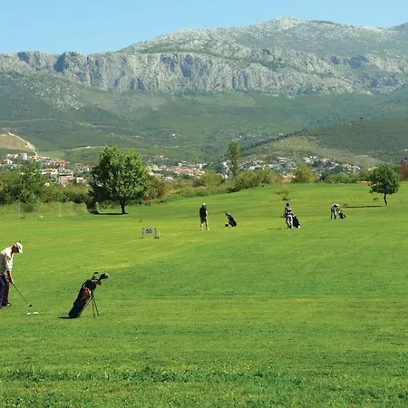 Διαμέρισμα Olive Tree