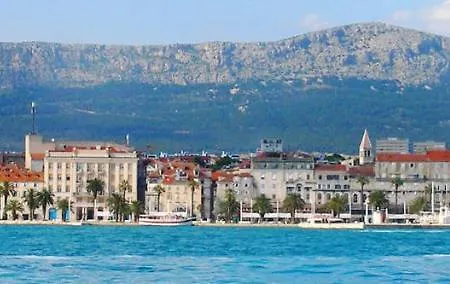 Olive Tree بودْسْتغانا