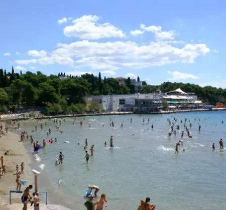 Olive Tree بودْسْتغانا