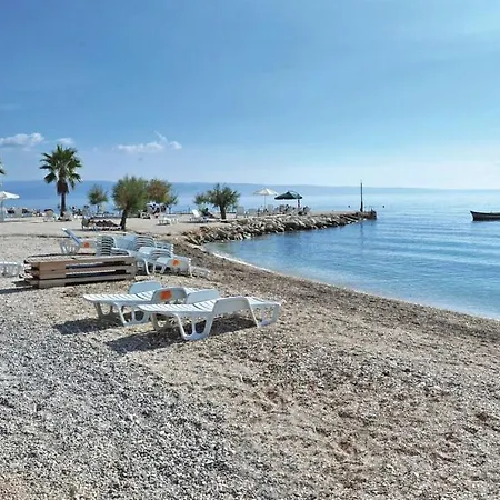 Olive Tree Подстрана